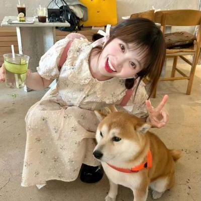拯救小鼠拉菲